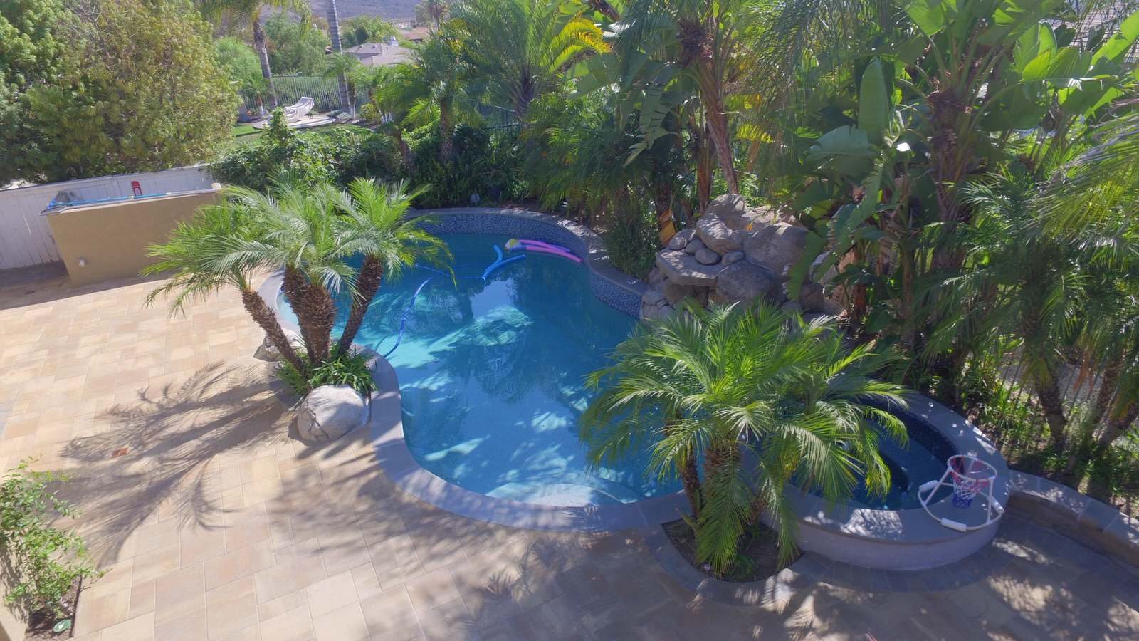 Free-form pool with tropical landscaping