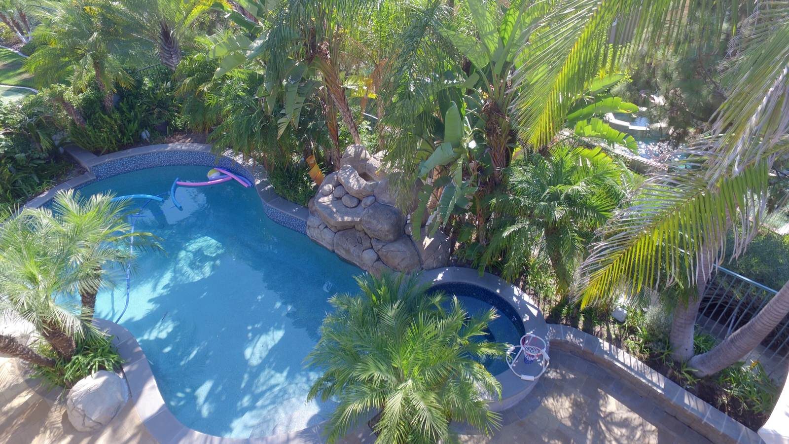 Pool and spa surrounded by palms